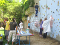 Schülerinnen und Schüler aus den Stufen 8 und 13 streichen die Kletterwand des neuen Schulgartens 